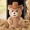 image:imagePOP MART Ted 2 Teddy Bear Action Plush Pendant Blind Box Figures Ted Doll Pendant Random Design Collectible Toys Home Decorations Single BoxTed2 Teddy Bear Action Plush Pendant