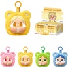 image:imagePOP MART CRYBABY  Care Bears SeriesMini Bag Blind Box Whole SetWhole Set