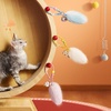 image:imagePOP MART THE MONSTERS One Cat from Many Monsters Series
